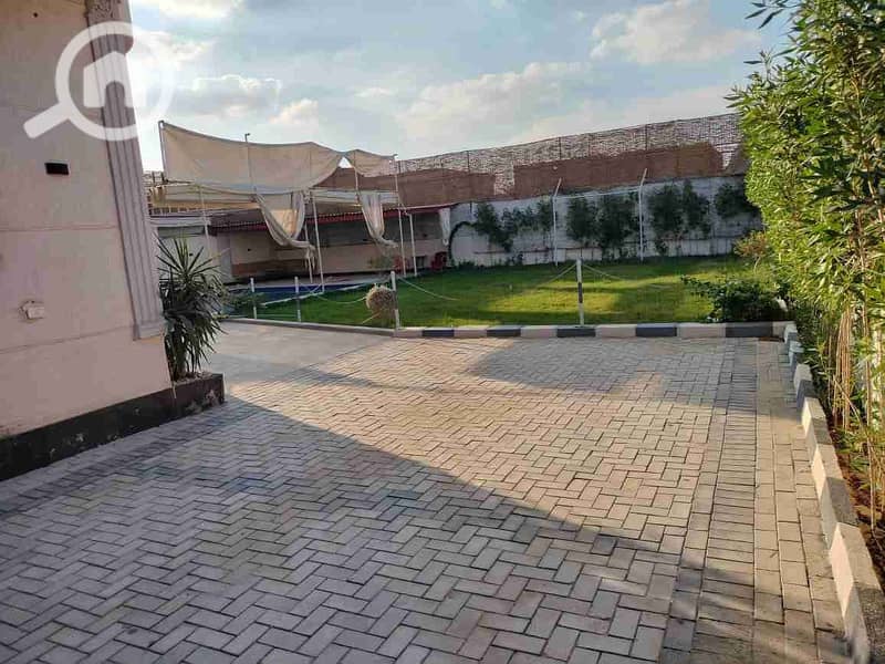 13 1000057891. jpg