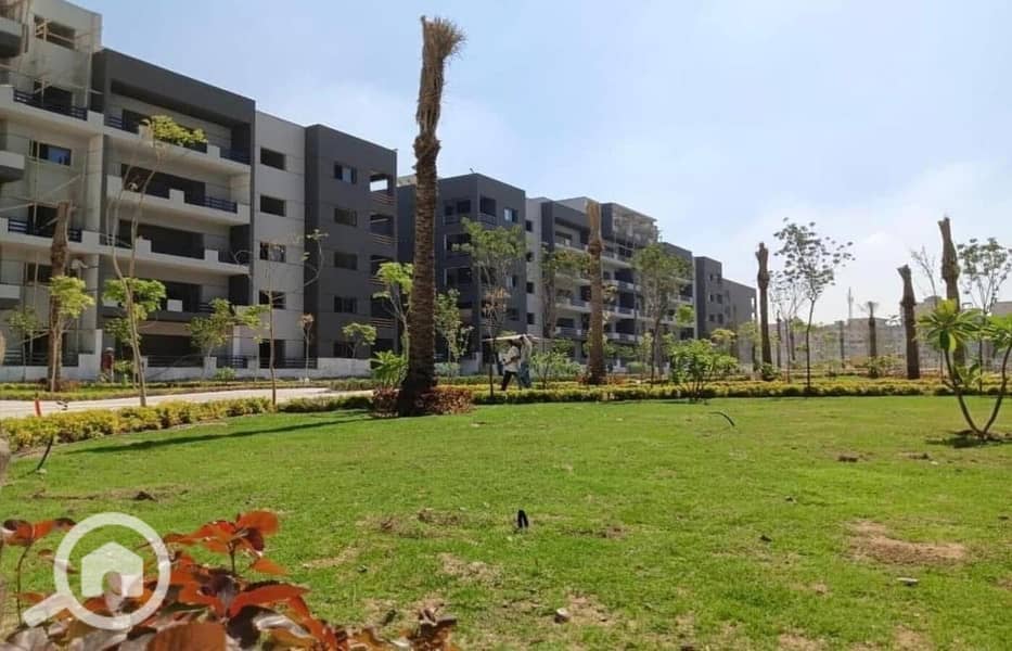 2 WhatsApp Image 2025-04-16 at 2.05. 13 PM. jpeg