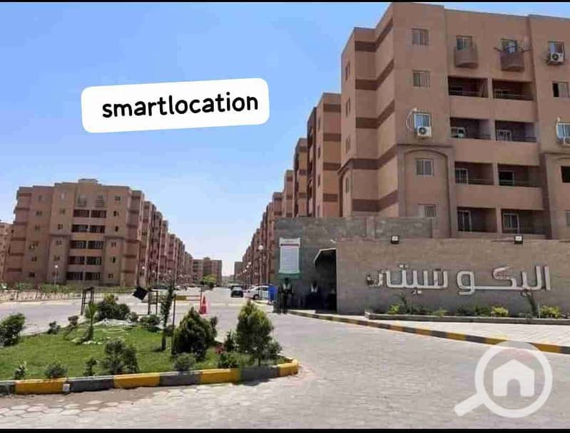 4 1000729061. jpg