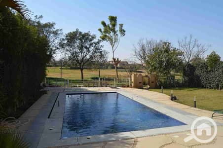 5 Bedroom Villa for Rent in Madinaty, Cairo - 1002507464. jpg