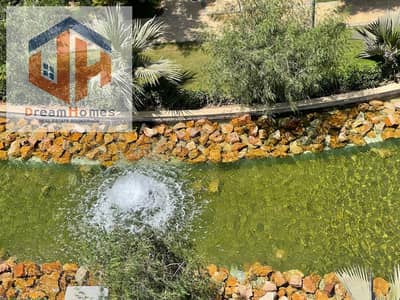 2 Bedroom Apartment for Rent in Madinaty, Cairo - b28e96c5-e6fd-43df-bd55-25833ffb8280. jpg