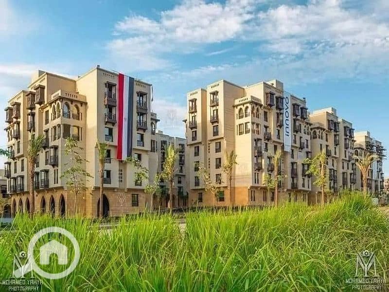 2 460402892_1182224386372071_7514054419313925159_n. jpg