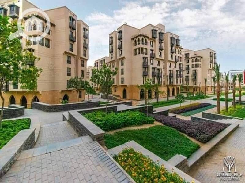 4 462371979_897559265806204_5638591445683068256_n. jpg