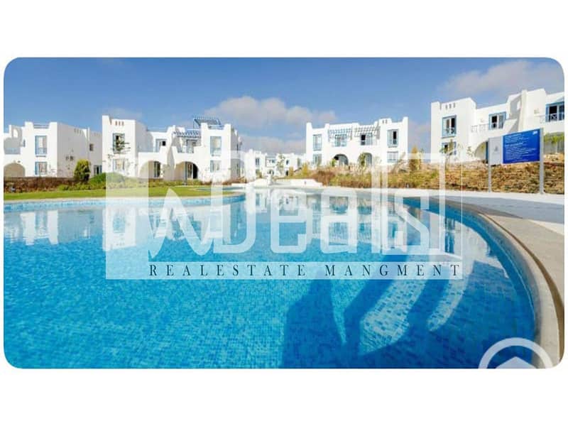 9 MOUNTAIN-VIEW. jpg