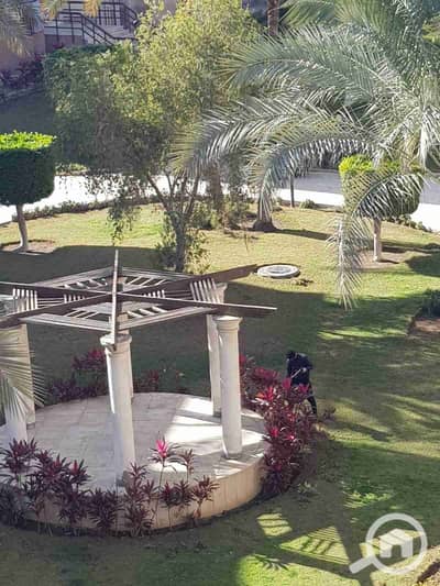 فلیٹ 3 غرف نوم للايجار في القاهرة الجديدة، القاهرة - 1000135970. jpg