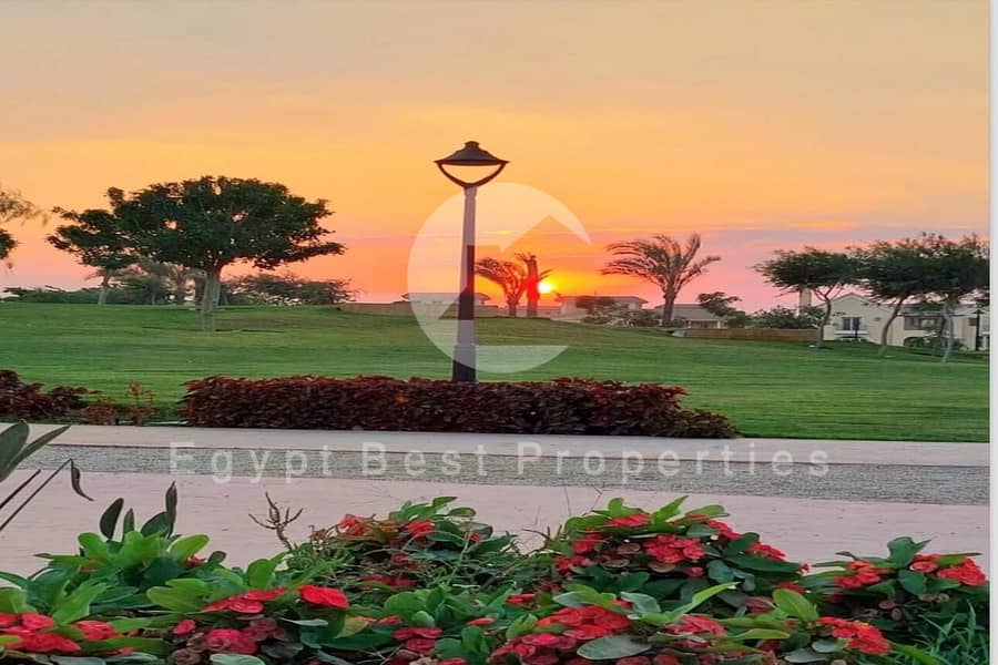 2 WhatsApp Image 2024-01-31 at 01.47. 36_be31a69a. jpg