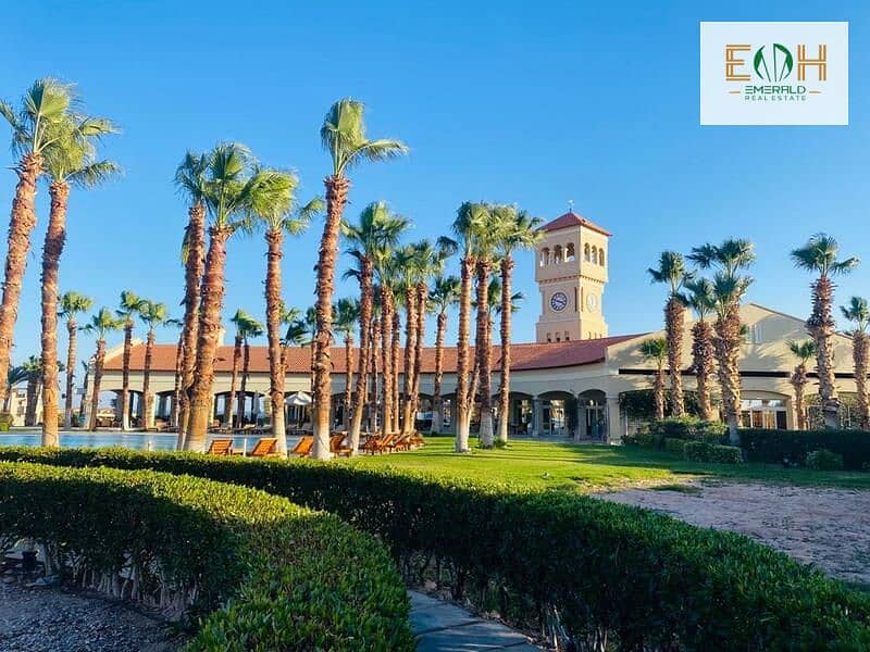 4 WhatsApp Image 2024-05-21 at 15.36. 18. jpeg