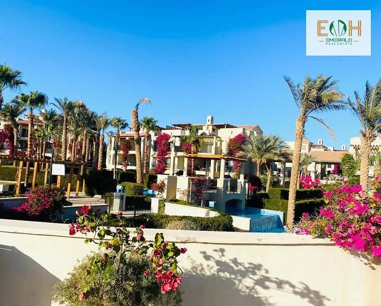 12 WhatsApp Image 2024-05-21 at 15.36. 07. jpeg