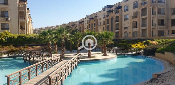 4 Bedroom Apartment for Sale in Katameya, Cairo - WhatsApp Image 2025-10-05 at 11.19. 44 PM (3). jpeg