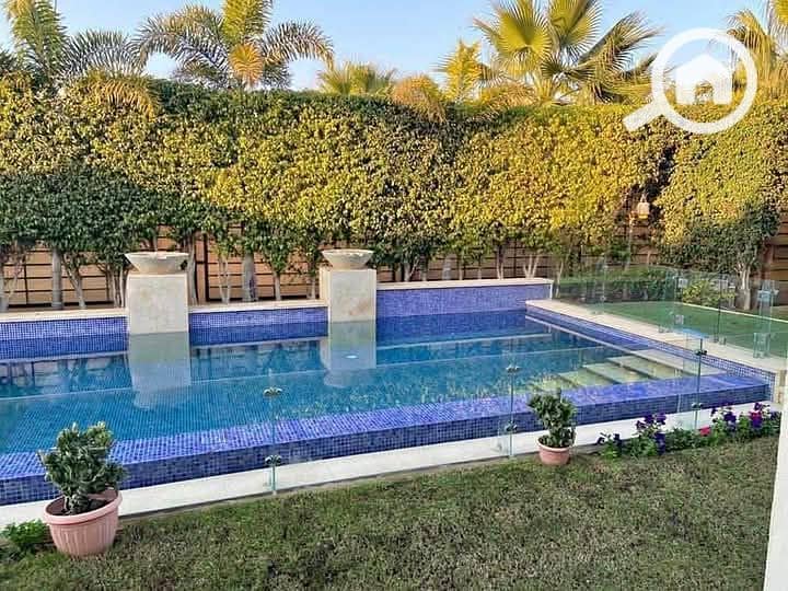 8 95174bce-fed0-43e9-ae91-be974465cb14. jpg