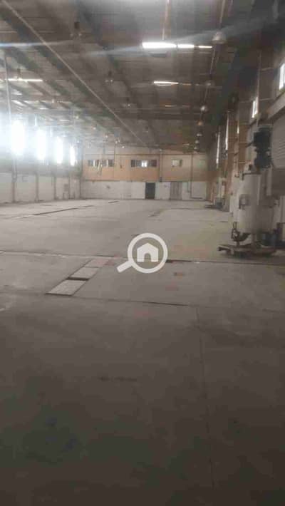 Factory for Sale in Badr City, Cairo - 1001015742. jpg