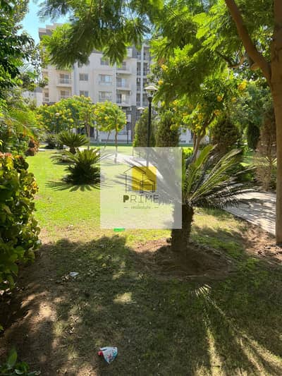 3 Bedroom Flat for Sale in Madinaty, Cairo - WhatsApp Image 2025-10-07 at 11.56. 54_cd9b2a78. jpg