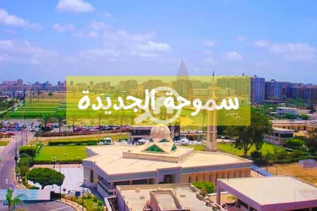 3 Bedroom Flat for Sale in Smoha, Alexandria - 1. jpg