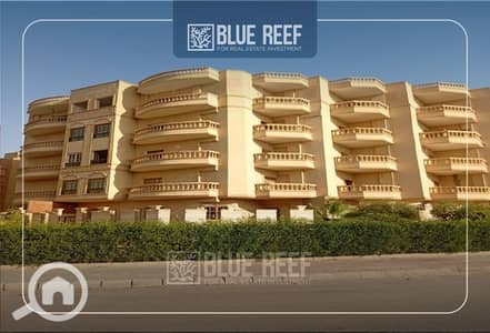 3 Bedroom Apartment for Sale in Shorouk City, Cairo - 6. jpg