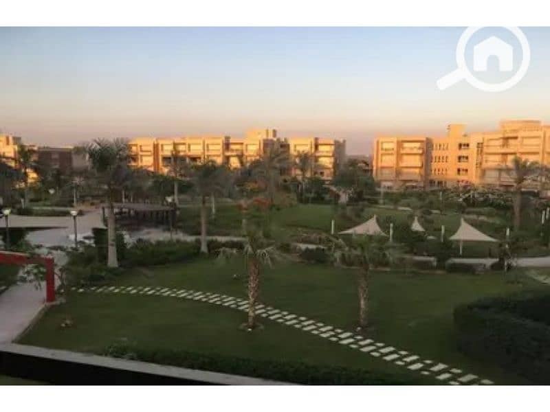 9 New Giza 9. jpg