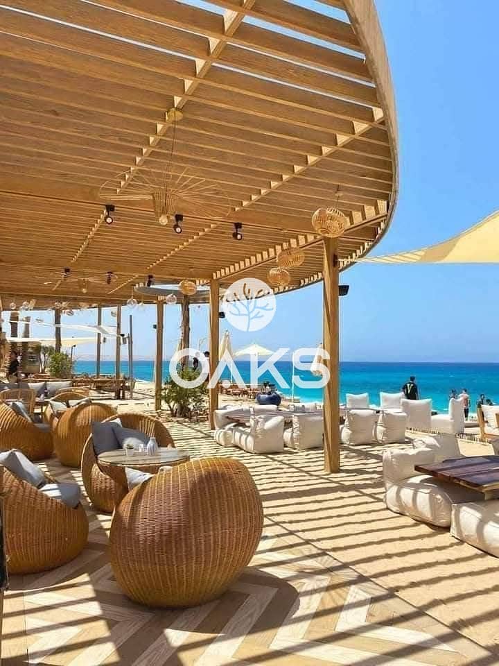 10 45839472-1285-4212-a2be-4a655959cbbb. jpg