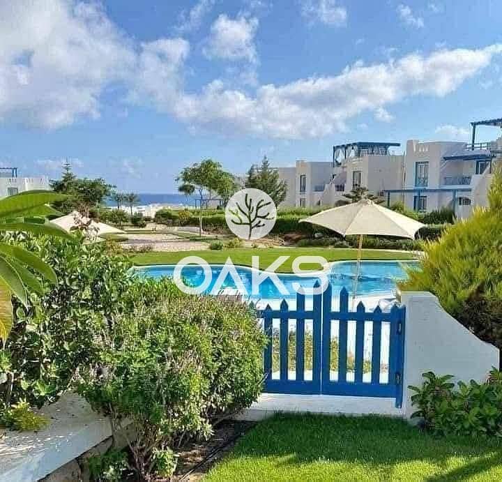 6 224e04b3-00ae-4d5a-93f2-dea6a95fd8d5. jpg