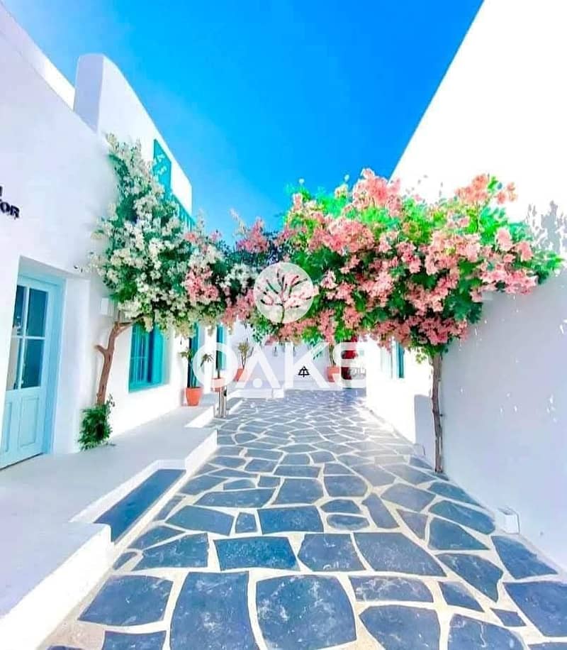 11 3e8f3b00-e709-42d8-8931-f41224b3698f. jpg