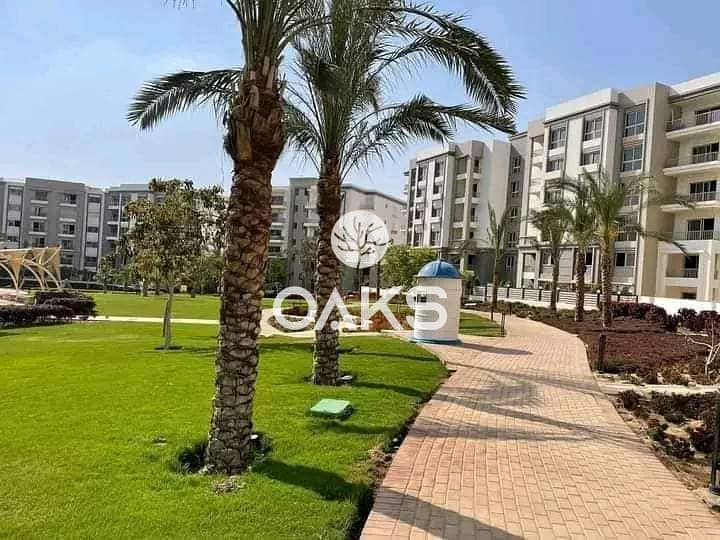 6 173f1826-774c-4859-8926-68fc31996cc5. jpg