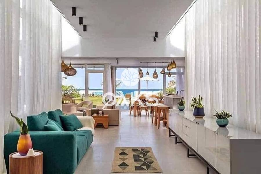 3 3920da4a-7240-4ce0-9e65-39b1ffa174ca. jpg