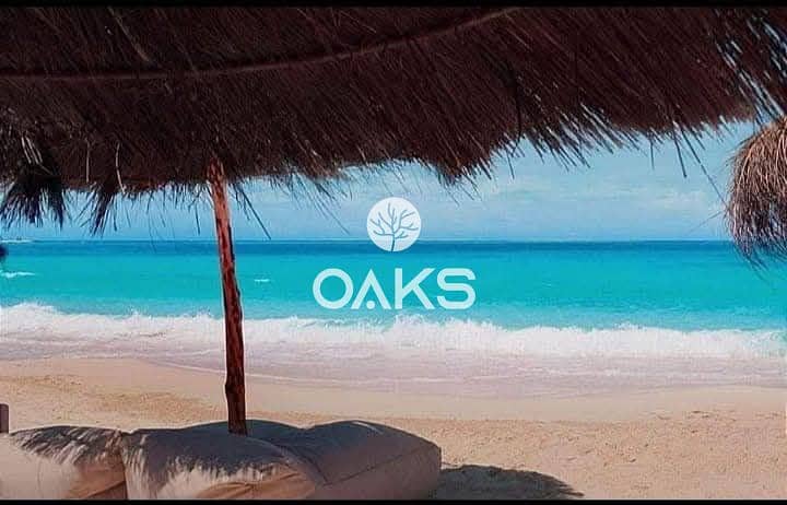 10 305efb73-419e-4131-90b7-4342282acea7. jpg