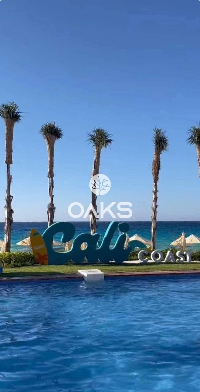 12 cbf543b0-ca62-4ed5-b817-c36291573ee7. jpg