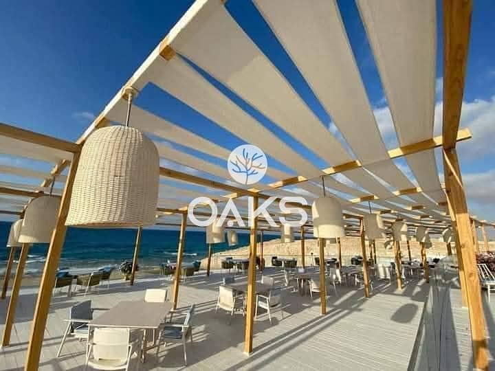 8 017963d7-fdcd-465a-9ec9-3d83fb920e6d. jpg