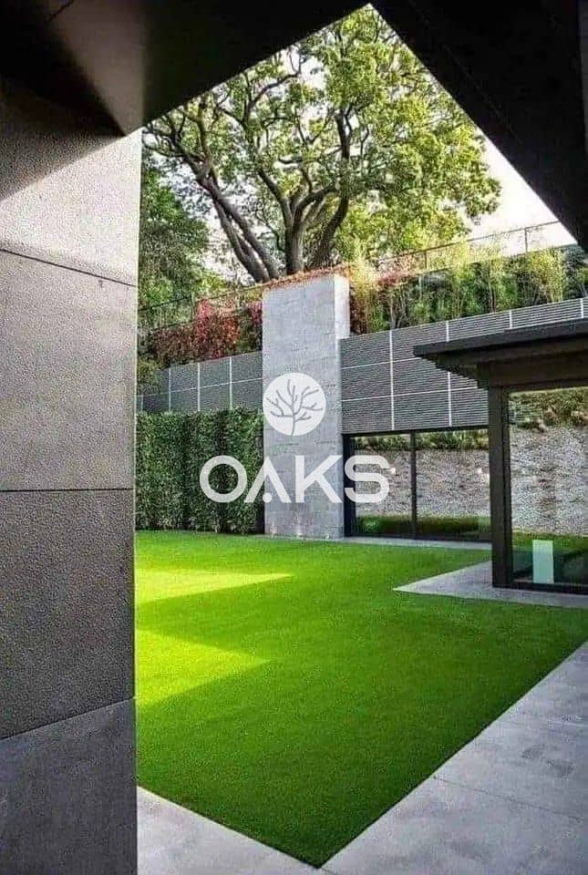 3 cf1bc54a-0349-4498-9b42-db598392bc39. jpg