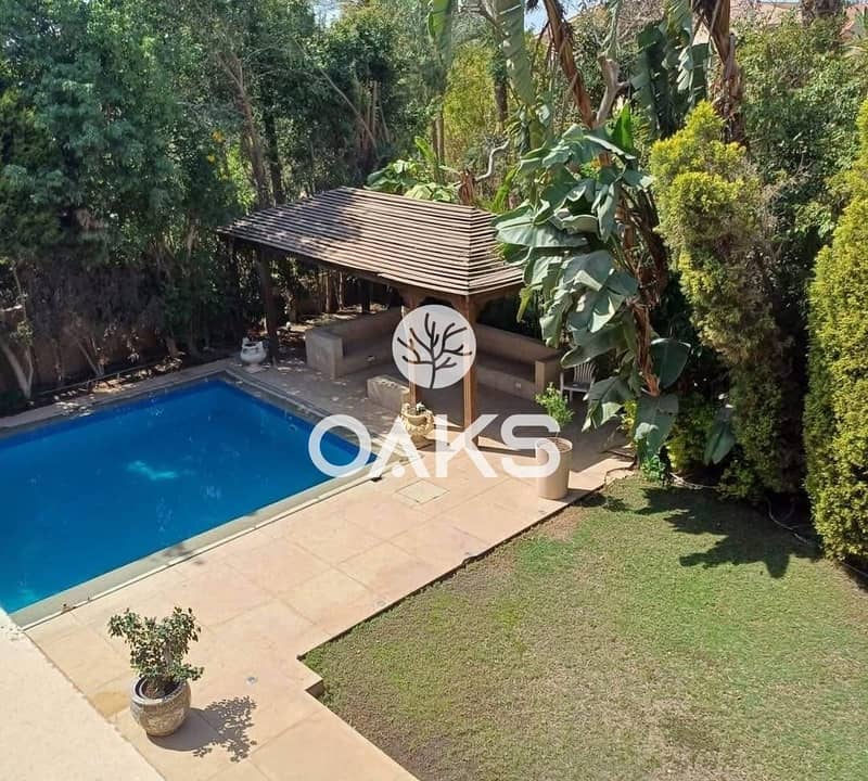 3 550db5a9-2c2f-4a9c-9949-260e29a43448. jpg