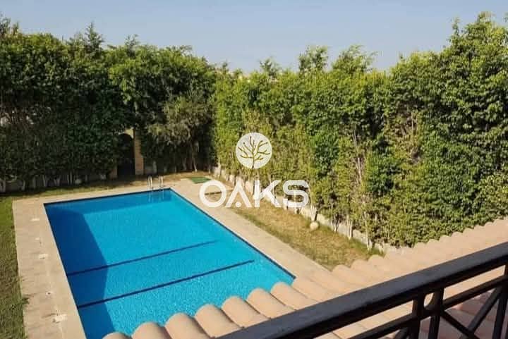 4 3157db3b-b197-4407-8aef-6ba81868e314. jpg