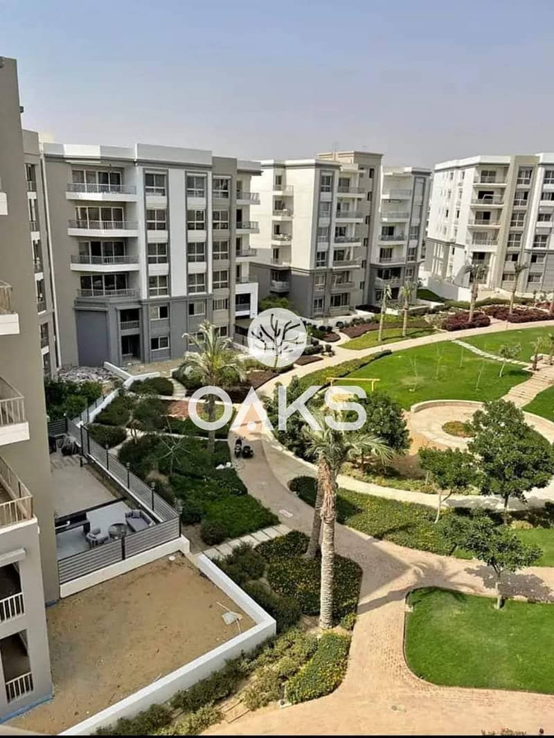 11 68359cff-17d7-414b-a066-cebb36490f99. jpg