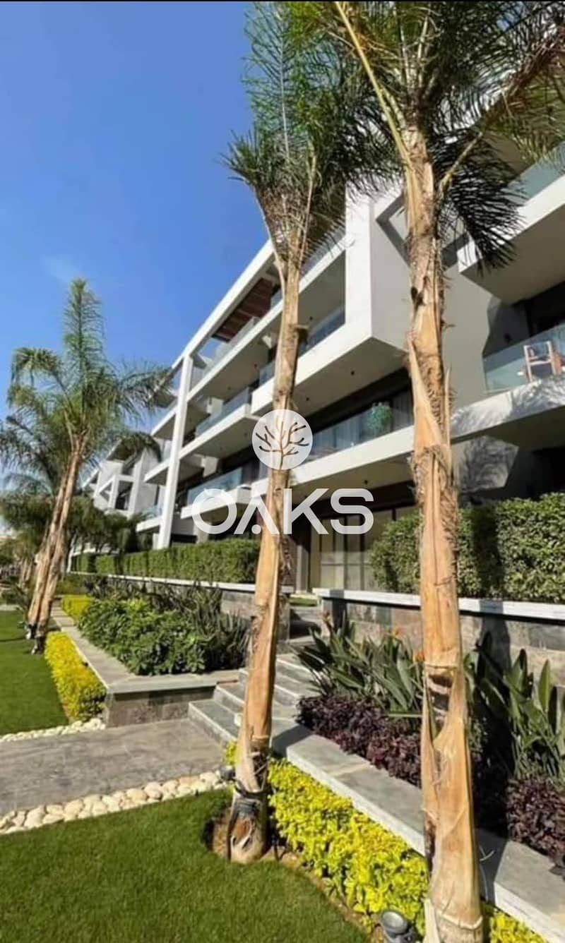 3 450775064_1495596304420056_6525537024707673489_n. jpg