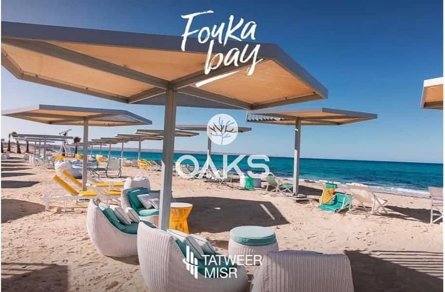 3 367abe5e-60d7-48b1-bc32-5d08893ce30d. jpg