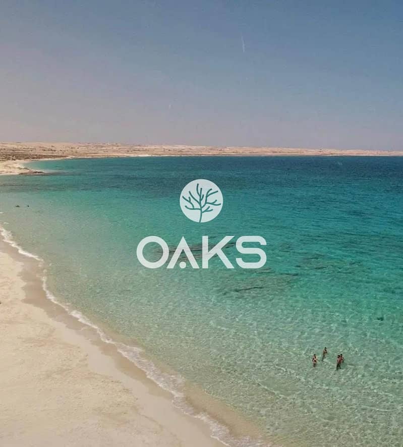 3 78902b71-f5cb-4dbf-89d3-54c85c80188d. jpg