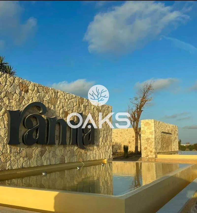 4 2e898018-1f09-4a32-bf11-b0879e6e8241. jpg