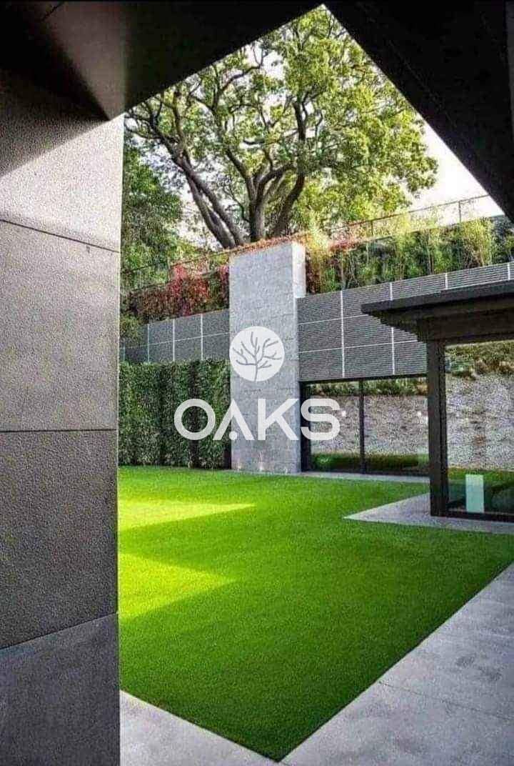 6 461058596_122127162230373795_4107767560135236816_n. jpg