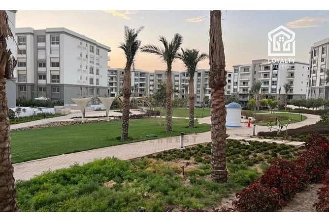 2 5549050-7e7e7o. jpg