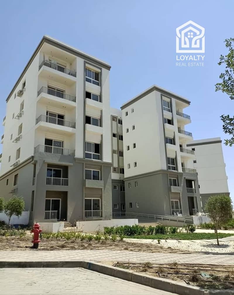 12 466604481_122194727666216454_2177788087526584094_n. jpg