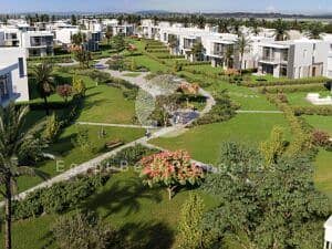 6 ZED-East-Hero-300x225. jpg