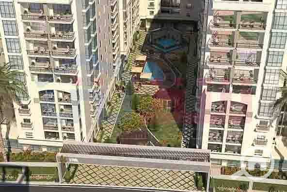 8 WhatsApp Image 2025-08-26 at 4.42. 08 PM (2). jpg