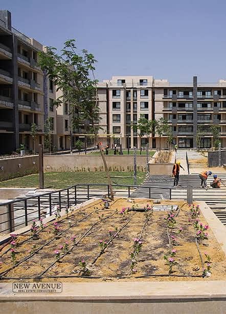 2 WhatsApp Image 2025-10-07 at 1.09. 09 PM (2). jpeg