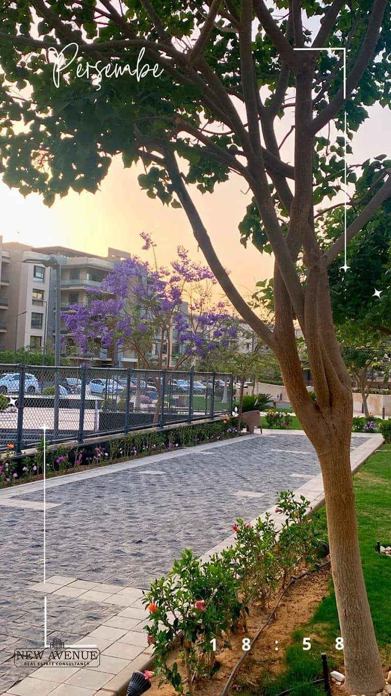 6 WhatsApp Image 2025-10-07 at 1.09. 10 PM. jpeg