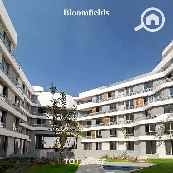 6 WhatsApp Image 2025-07-17 at 16.16. 09_3bb9b6f8. jpg