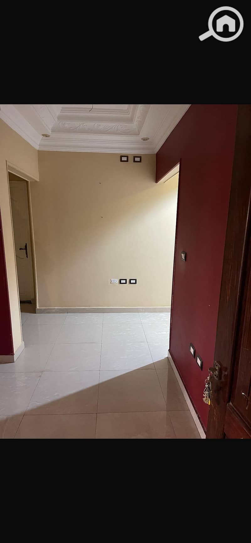5 IMG_4267. png