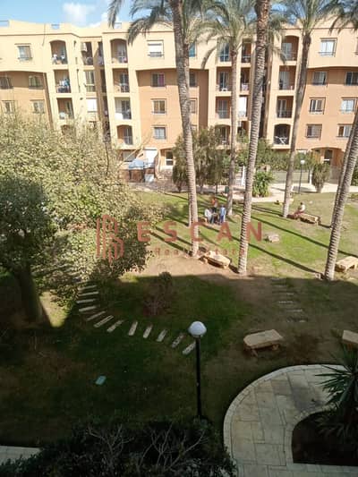 فلیٹ 2 غرفة نوم للايجار في القاهرة الجديدة، القاهرة - IMG-20250223-WA0823. jpg