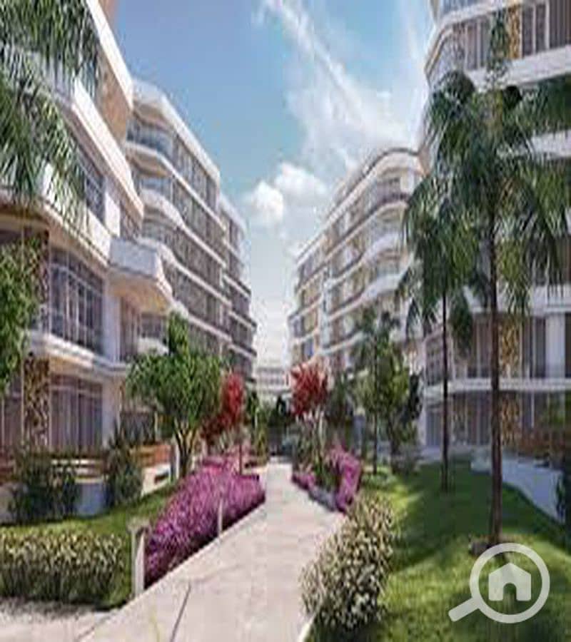 2 WhatsApp Image 2025-10-06 at 10.33. 20 AM (1)_800x900. jpg