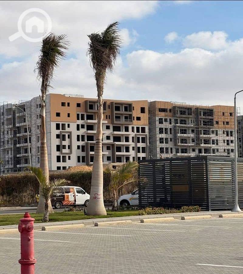 5 WhatsApp Image 2025-10-06 at 10.33. 22 AM_800x900. jpg