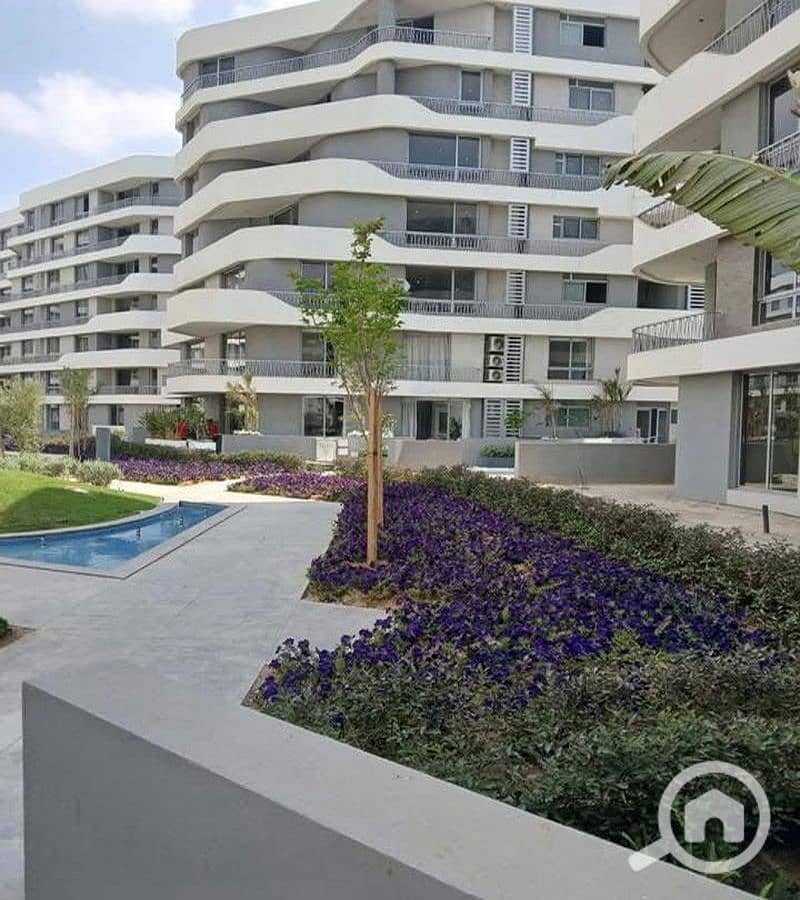 7 WhatsApp Image 2025-10-06 at 10.33. 25 AM_800x900. jpg