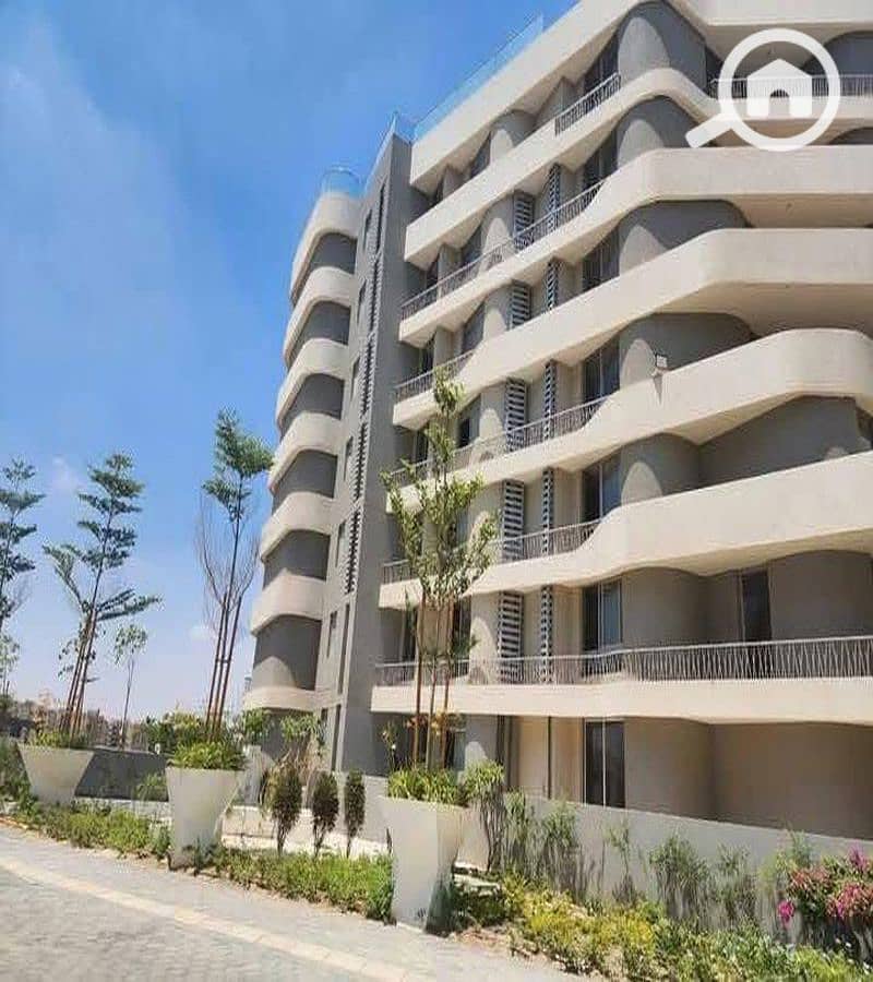 9 WhatsApp Image 2025-10-06 at 10.33. 28 AM_800x900. jpg