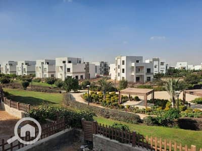 4 Bedroom Villa for Rent in Shorouk City, Cairo - WhatsApp Image 2024-11-20 at 13.50. 34_7a260d7b. jpg